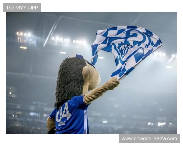 沙尔克04财政好转，引援目标明确